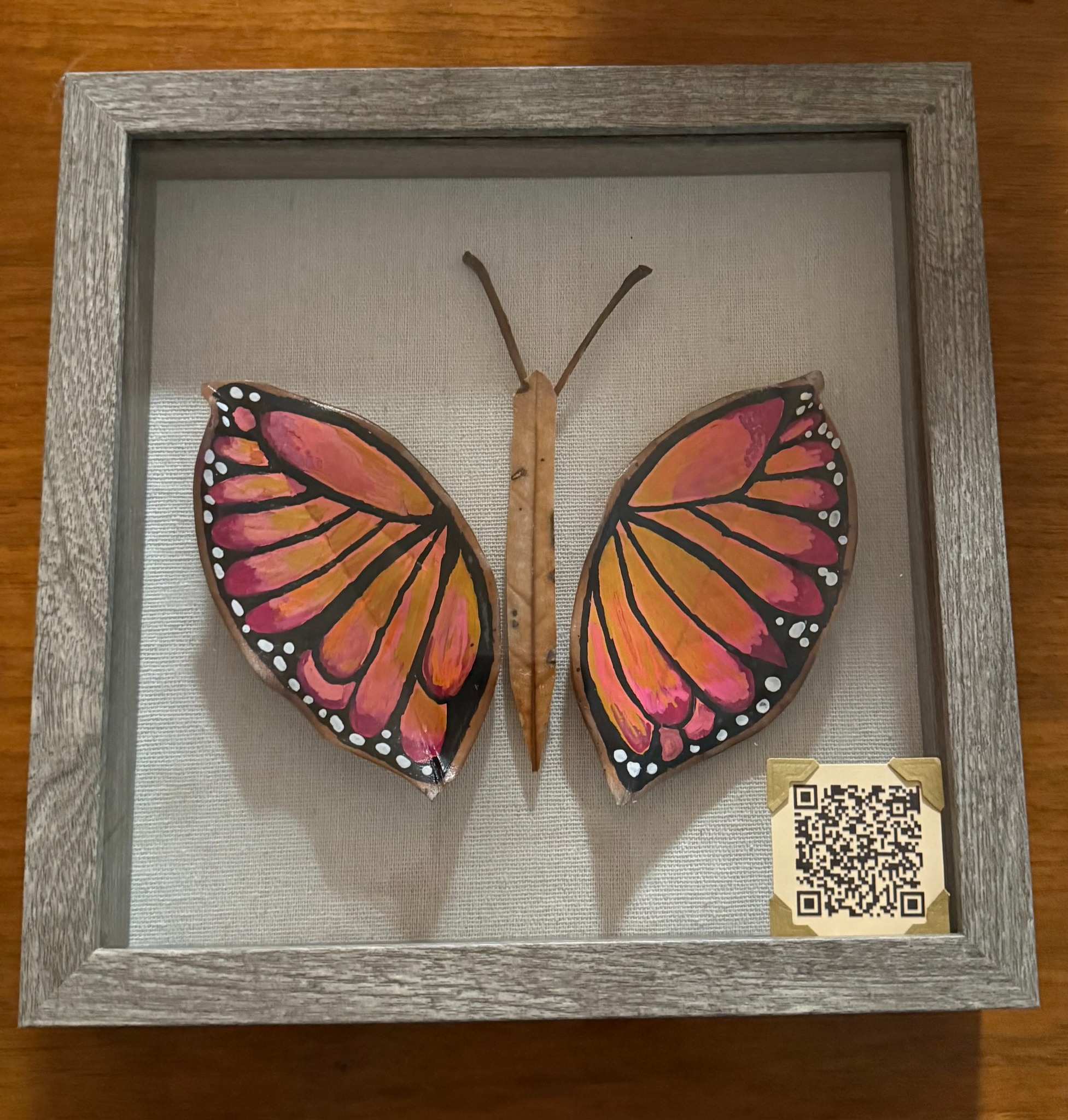 Clarior in a weathered gray shadow box