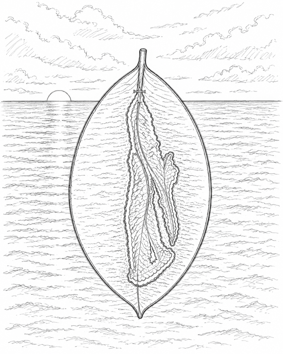 Concept sketch for Tenet, showing St. George Island within the shape of a leaf